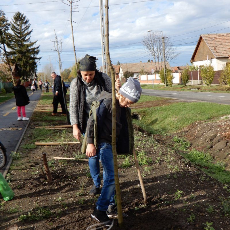 Közösségi faültetés Berettyóújfaluban 36